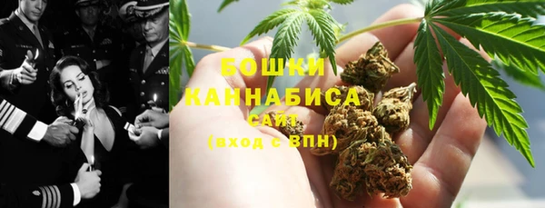 мдпв Осташков