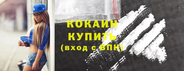 сатива Осинники