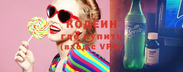 мдпв Осташков