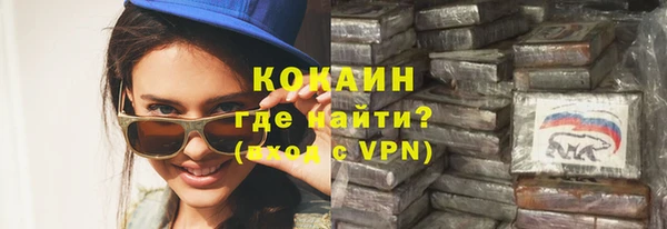 сатива Осинники