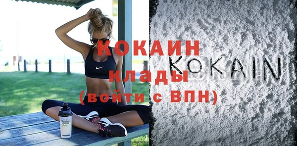 сатива Осинники