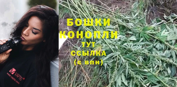 мдпв Осташков
