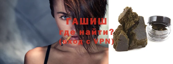 мдпв Осташков