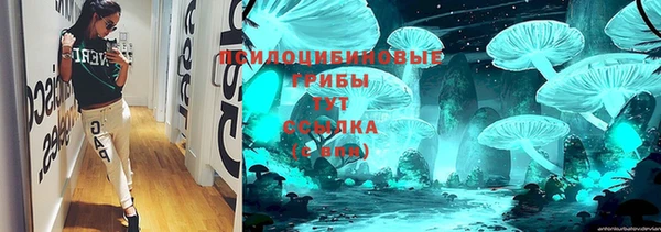 мдпв Осташков