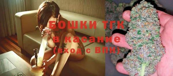 сатива Осинники