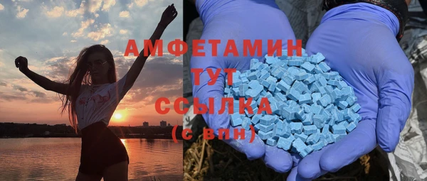 сатива Осинники