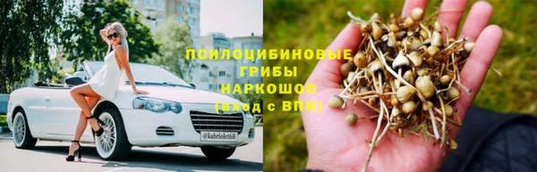 мдпв Осташков